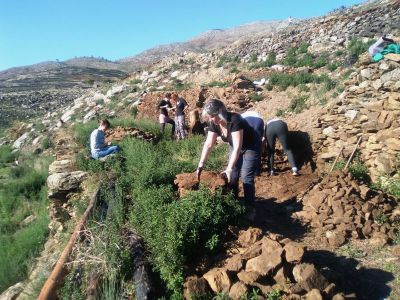 trabajo fisico sensitivo